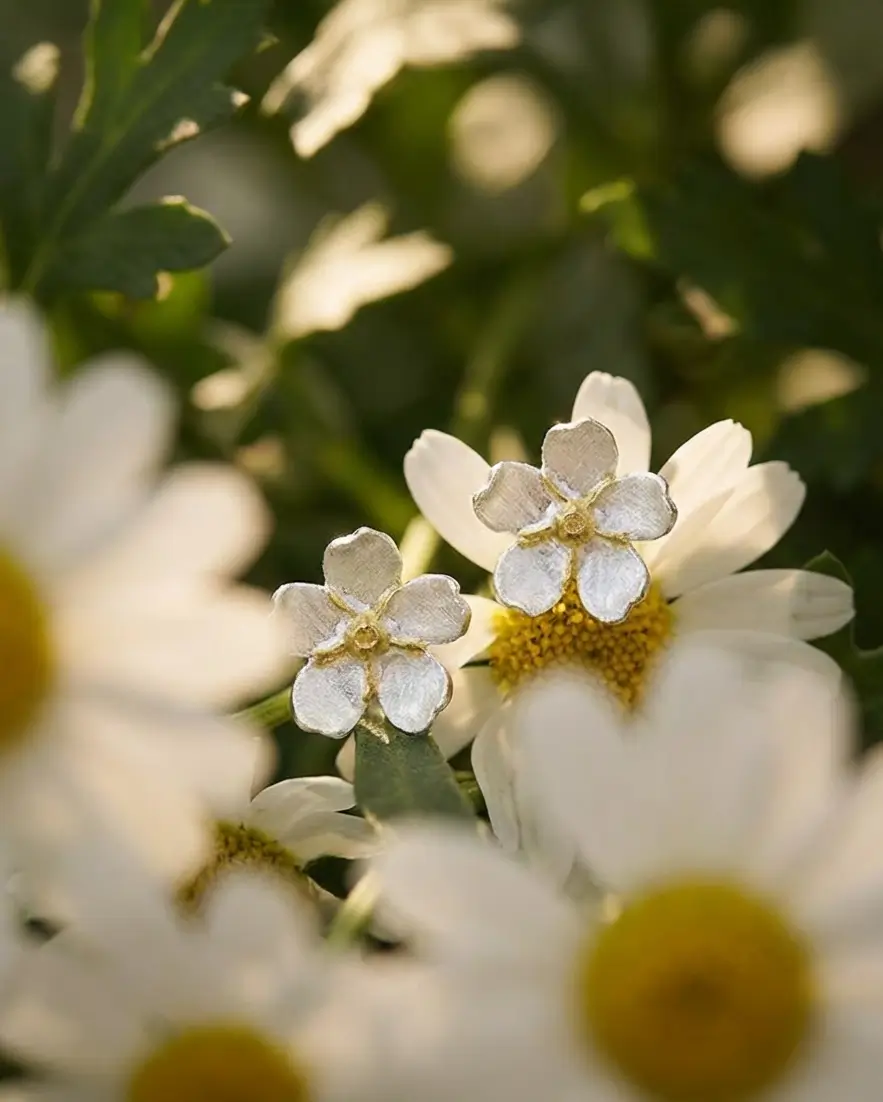 Boucles d’oreilles pâquerette en argent avec cœur doré et émail blanc au milieu de fleurs de pâquerette, inspiration naturelle.